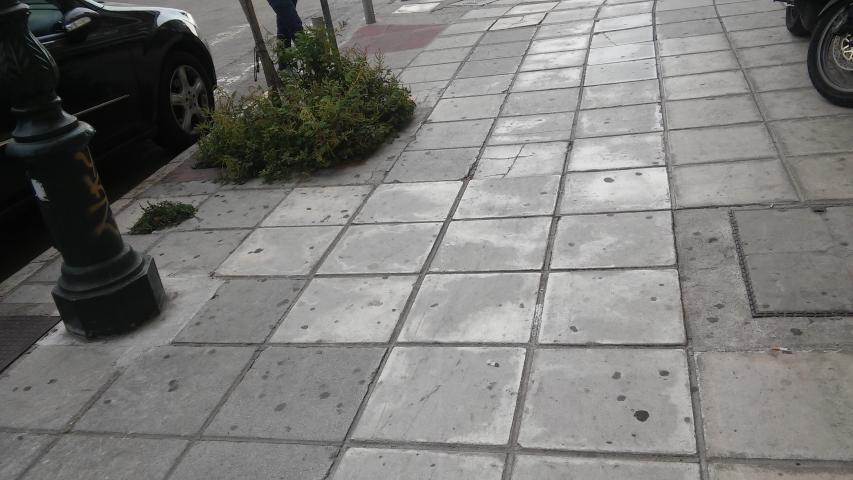 Φωτογραφία 1